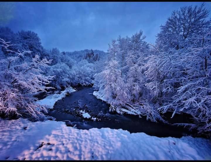 Вилла Vikend Kuca Dokovic - Jahorina Пале Экстерьер фото